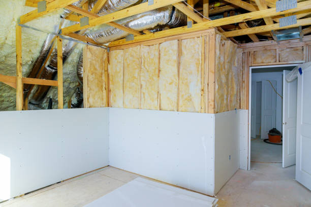 Best Basement Insulation  in Pittsville, MD