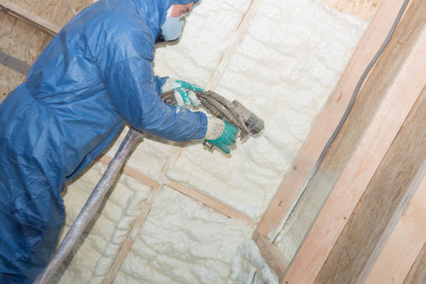 Types of Insulation We Offer in Pittsville, MD