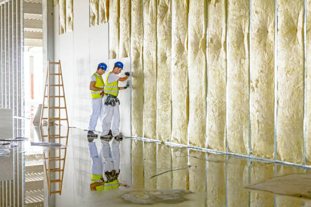 Insulation Air Sealing in Pittsville, MD